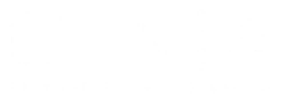 Centro Nacional de Inteligencia Artificial