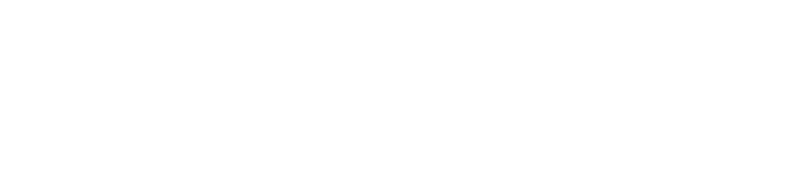 Universidad Finis Terrae